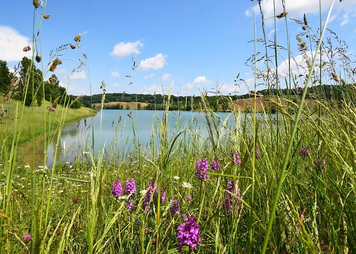 Maison En Pierre à - Clévacances 3 Clés Laroque-Timbaut